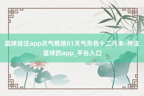 篮球投注app天气概括01天气形色十二月末-押注篮球的app_平台入口