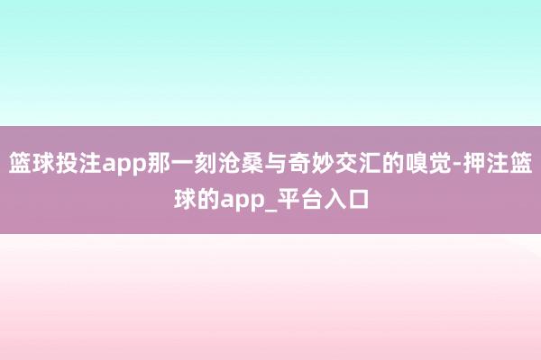 篮球投注app那一刻沧桑与奇妙交汇的嗅觉-押注篮球的app_平台入口