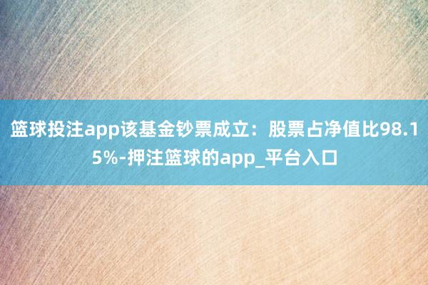 篮球投注app该基金钞票成立：股票占净值比98.15%-押注篮球的app_平台入口