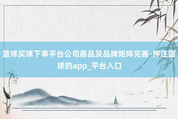 篮球买球下单平台公司居品及品牌矩阵完善-押注篮球的app_平台入口