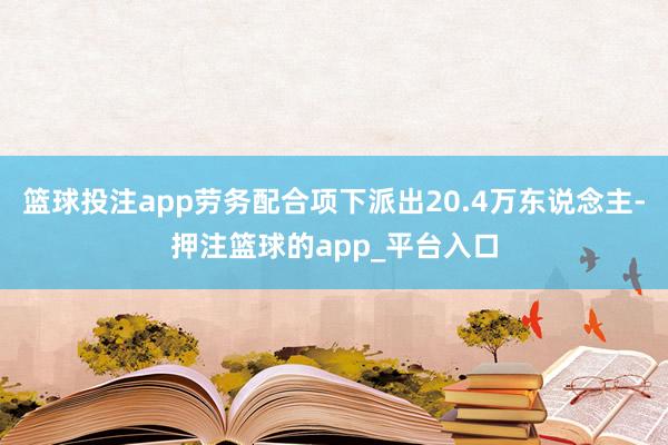 篮球投注app劳务配合项下派出20.4万东说念主-押注篮球的app_平台入口