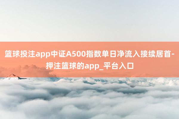 篮球投注app中证A500指数单日净流入接续居首-押注篮球的app_平台入口
