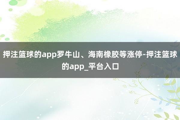 押注篮球的app罗牛山、海南橡胶等涨停-押注篮球的app_平台入口