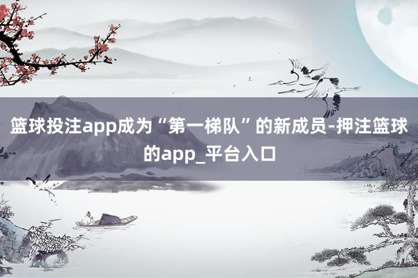 篮球投注app成为“第一梯队”的新成员-押注篮球的app_平台入口