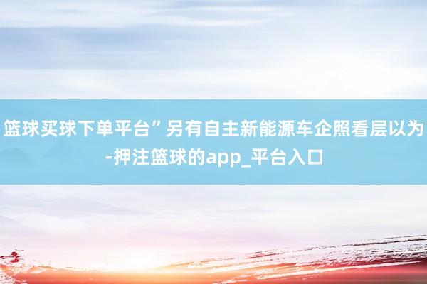 篮球买球下单平台”另有自主新能源车企照看层以为-押注篮球的app_平台入口