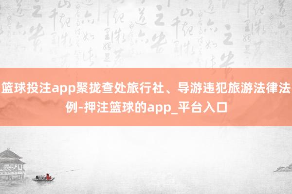 篮球投注app聚拢查处旅行社、导游违犯旅游法律法例-押注篮球的app_平台入口