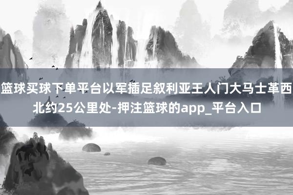 篮球买球下单平台以军插足叙利亚王人门大马士革西北约25公里处-押注篮球的app_平台入口