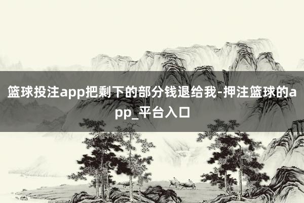 篮球投注app把剩下的部分钱退给我-押注篮球的app_平台入口