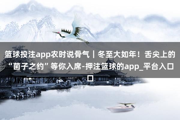 篮球投注app农时说骨气｜冬至大如年！舌尖上的“菌子之约”等你入席-押注篮球的app_平台入口