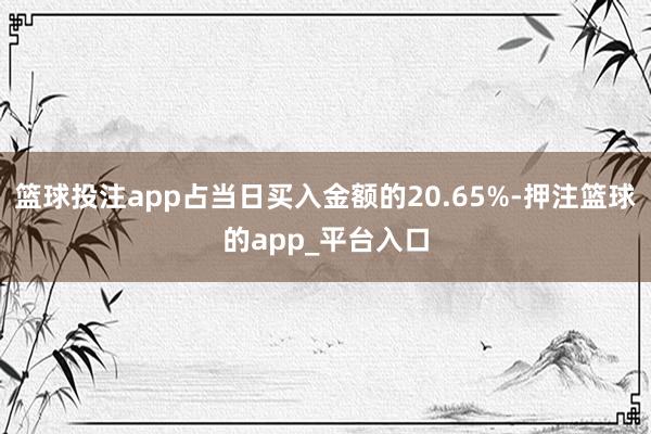 篮球投注app占当日买入金额的20.65%-押注篮球的app_平台入口