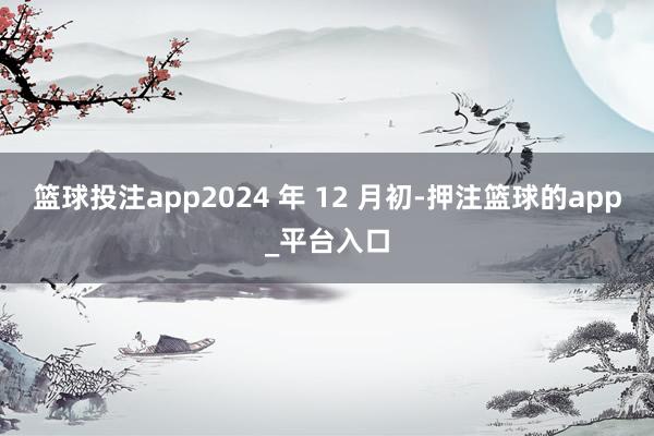 篮球投注app2024 年 12 月初-押注篮球的app_平台入口