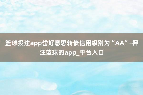 篮球投注app岱好意思转债信用级别为“AA”-押注篮球的app_平台入口