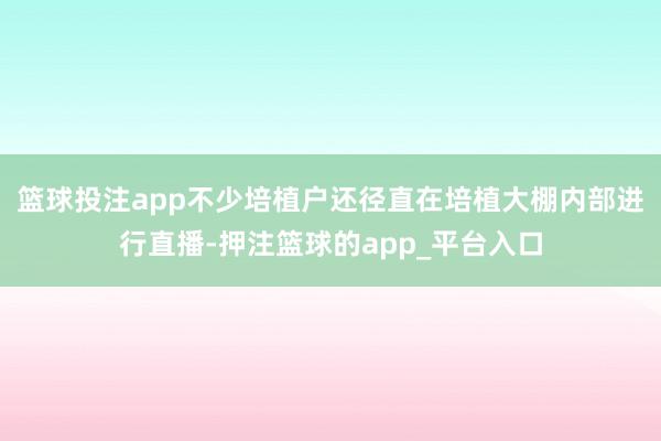篮球投注app不少培植户还径直在培植大棚内部进行直播-押注篮球的app_平台入口