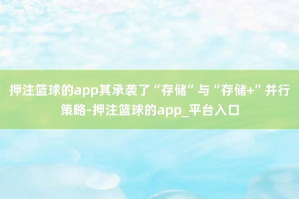 押注篮球的app其承袭了“存储”与“存储+”并行策略-押注篮球的app_平台入口