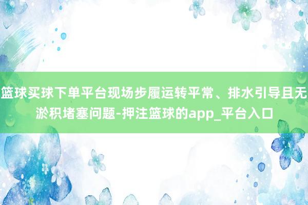 篮球买球下单平台现场步履运转平常、排水引导且无淤积堵塞问题-押注篮球的app_平台入口