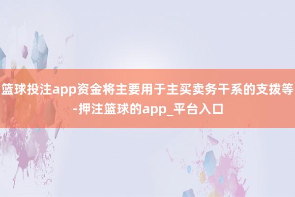 篮球投注app资金将主要用于主买卖务干系的支拨等-押注篮球的app_平台入口