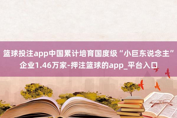 篮球投注app中国累计培育国度级“小巨东说念主”企业1.46万家-押注篮球的app_平台入口