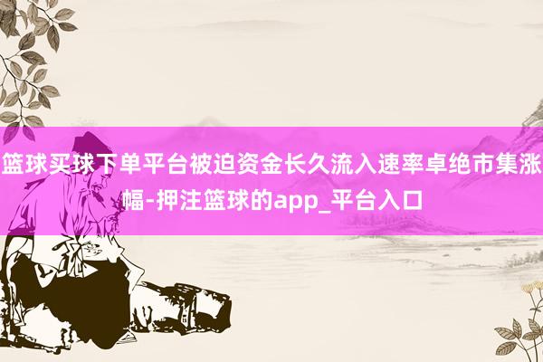 篮球买球下单平台被迫资金长久流入速率卓绝市集涨幅-押注篮球的app_平台入口