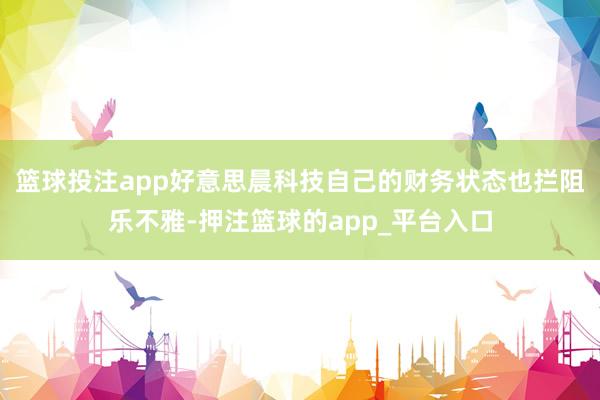 篮球投注app好意思晨科技自己的财务状态也拦阻乐不雅-押注篮球的app_平台入口