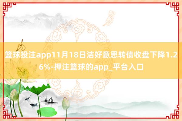 篮球投注app11月18日洁好意思转债收盘下降1.26%-押注篮球的app_平台入口