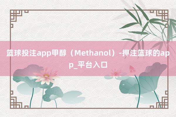 篮球投注app甲醇（Methanol）-押注篮球的app_平台入口